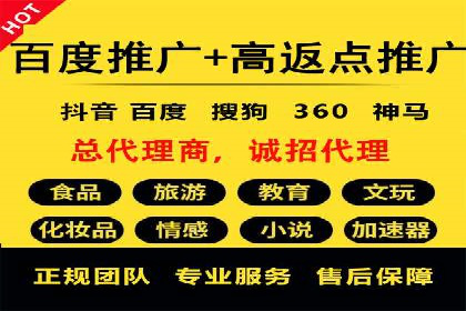 百度竞价代理的运营策略与成功案例分析